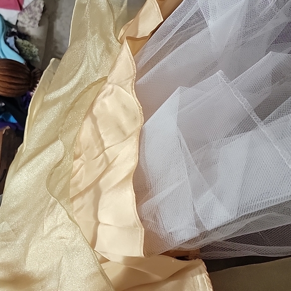 Vintage Ball Gown - Picture 8 of 9